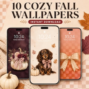 Op de afbeelding: Drie smartphones met digitale achtergronden met een herfstthema. Het linkerscherm toont een pompoen met bloemen en een geruite strik. Het middenscherm toont een teckel met lang haar, een geruite strik en een pompoen. Rechts een geruite strik.