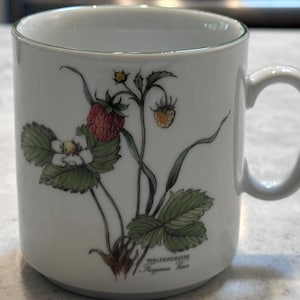 Può includere: Tazza in ceramica bianca con manico, con un'illustrazione botanica di una pianta di fragola con bacche rosse, foglie verdi e fiori bianchi. La tazza ha il testo "WALDERBEERE Fragaria Vesca".