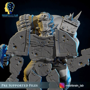 May include: A gray, 3D-printed figure of a warrior in armor, with a skull emblem on the chest plate. The figure has a helmet and a weapon. The image includes the text "PRE SUPPORTED FILES" and the logo of "Meshbrain Lab".