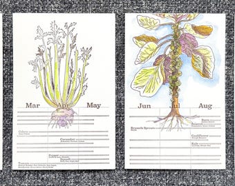 Guía de plantación - Juego de 4 tarjetas impresas en tipografía - Acuarela personalizada disponible