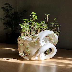 Sculptural Planter "Helix", 8 Inch 3D Printed Pot with Hidden Water Catch