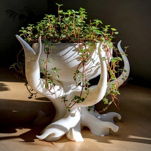 Könnte beinhalten: Ein weißer, skulpturaler Pflanzentopf mit einem einzigartigen, organischen Design, gefüllt mit einer leuchtend grünen Pflanze. Der Topf hat gebogene, hornartige Elemente und eine strukturierte Oberfläche. Die Ranken der Pflanze fallen an den Seiten herab.