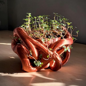 Op de afbeelding: Een koperkleurige, sculpturale plantenbak gevuld met kleine groene planten. De plantenbak heeft een uniek, verweven ontwerp. De planten hebben kleine groene bladeren en dunne stengels.