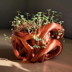 May include: A copper-coloured, abstract-shaped planter filled with small green plants. The planter has a unique, flowing design with curves and openings. The plants have small, round green leaves and thin stems, contrasting with the metallic finish of the planter.