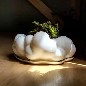 May include: A white ceramic cloud-shaped planter with a matching saucer. The planter contains a green plant with red-tinged leaves. The planter is on a wooden surface, with sunlight creating shadows.