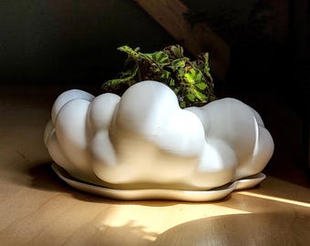 Nimbus Cloud Planter, Sculptural Succulent & Cactus Planter with Matching Drain Tray