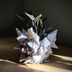 Puede incluir: Una maceta geométrica gris claro con un diseño espinoso y cristalino. La maceta contiene una pequeña planta con hojas de color verde oscuro y verde claro. La maceta está sobre una superficie de madera.