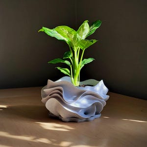 Sculptural Planter "Aeris", 8 Inch 3D Printed Pot with Hidden Water Catch