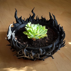 Op de afbeelding: Een zwarte, decoratieve plantenbak met een uniek, vlamachtig ontwerp rond de rand. De plantenbak bevat een groene vetplant in donkere aarde. De plantenbak is gemaakt van een donker materiaal en staat op een houten oppervlak.