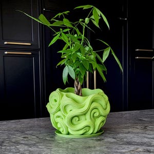 Verra Sculptural Planter, 8" Architectural Planter with Tray, Avocado Green