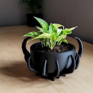 May include: A black plant pot with a distinctive hand-shaped design. The pot contains a plant with green and yellow leaves. The pot is on a light brown wooden surface. The pot's design gives it a unique look.
