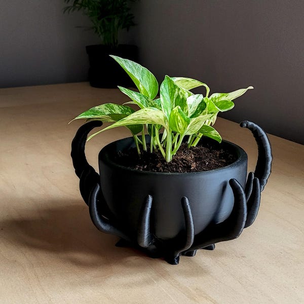 Noctaura Sculptural Planter, 9" Architectural Planter for Trailing Plants
