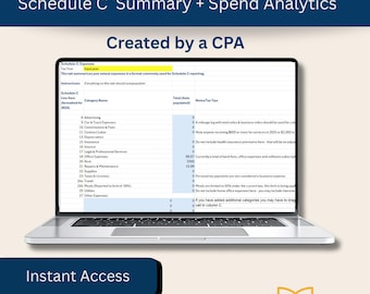Tracker delle spese aziendali progettato da CPA con modello di programma C / Excel e Fogli Google (download digitale)