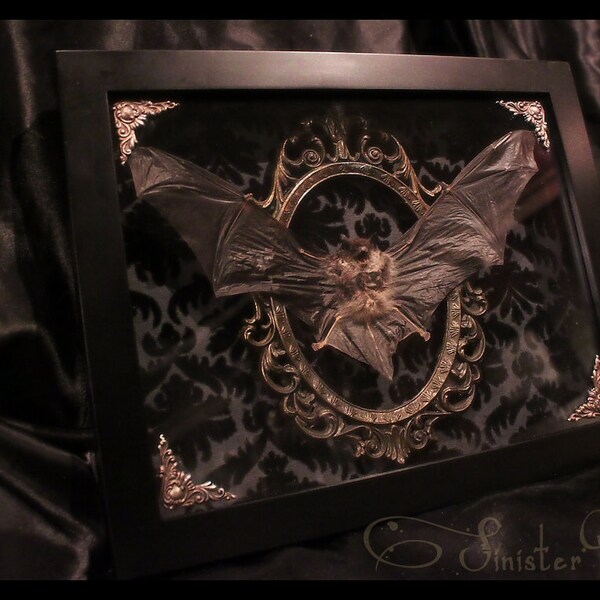 Gothic Taxidermy Bat Goth Curio Black Antique Damask Brass Filigree Neo-Victorian Shadow box frame macabre wall Plaque art