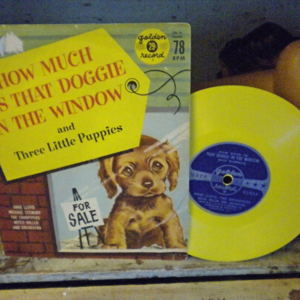 How Much Is That Doggie In The Window Vintage Childrens Record