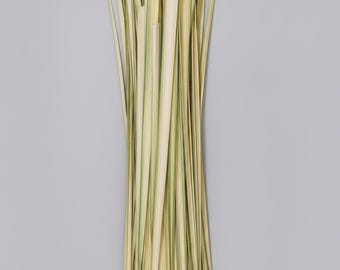 Palmetto Strips for Basket Weaving | Liturgical Palm Leaves | Church Craft Supplies