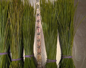Long Leaf Pine Needles by the Pound | Fresh Florida Mulch Basket Weaving & Craft Supply