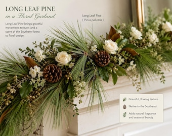 Long Leaf Pine