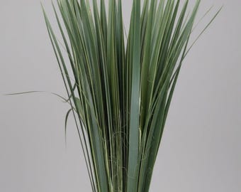Fresh GREEN Florida Palm Strips | Liturgical Palm Leaves | DIY Church Craft Supplies