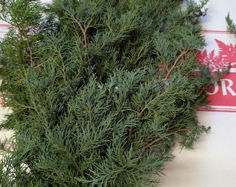Green Cedar Bunch Box