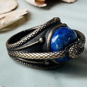 May include: An ornate ring with a dark band and a striking blue stone. The ring's design incorporates a snake motif, with the serpent's head visible. The ring is set against a pale blue backdrop, with dried petals scattered around it. The ring is a unique piece of jewellery.