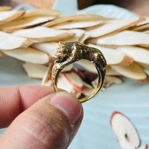 Può includere: Un anello color oro con una scultura dettagliata di un orso. L'orso è in posizione accovacciata, con le zampe sulla fascia dell'anello. L'anello presenta dettagli intricati e la pelliccia dell'orso è strutturata.