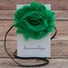 Reviewed by Anonymous reviewed Katharyn . Headband . Shabby Chiffon Flower . Kelly Green