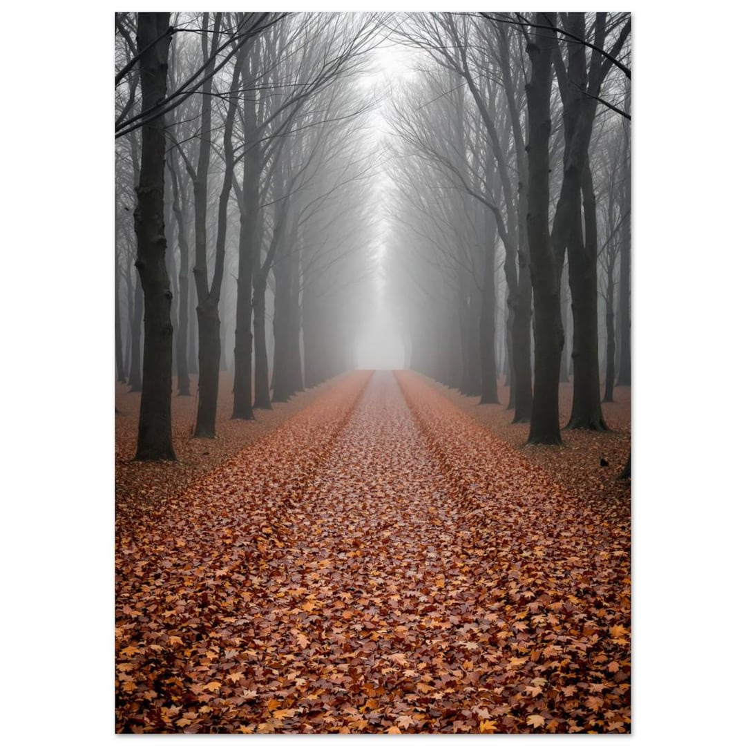 Foggy Forest Trail Wall Art Misty Woodland Path Print Moody Desaturated ...