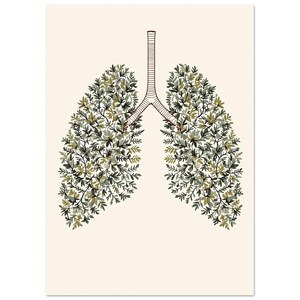 Aglomerados de samambaias espelhadas em formato de pulmões, ilustração botânica vintage em preto e branco, arte de parede para escritório com tema natureza | A4 A3 50 x 70 cm