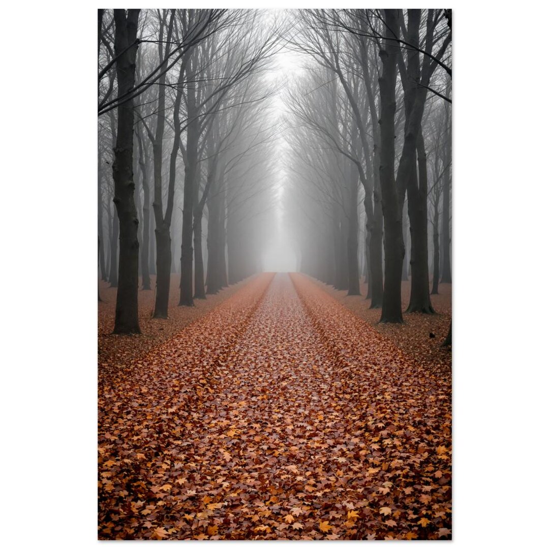 Foggy Forest Trail Wall Art Misty Woodland Path Print Moody Desaturated ...