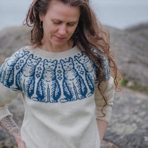 Pull en tricot CatKnit Patron de tricot PDF