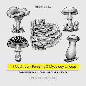 May include: A collection of black and white ink-style mushroom illustrations featuring various species, including a cluster on tree bark. The text RUPALLORA and 14 MASHROOM FORAGING & MYCOLOGY LINOCUT POD-FRIENDLY & COMMERCIAL LICENSE EPS PNG PDF SVG appears.