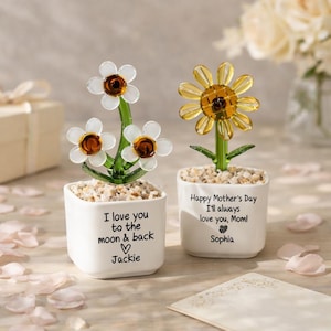May include: Two decorative glass flower arrangements in white square pots. One has white flowers with brown centers, the other has a yellow flower. Text on the pots reads "I love you to the moon & back Jackie" and "Happy Mother's Day I'll always love you, Mom! Sophia".