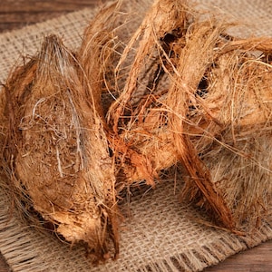 Puede incluir: Una taza de cerámica blanca con un asa negra y el texto "But First, Coffee" en negrita negra. La taza está sobre una superficie de madera.