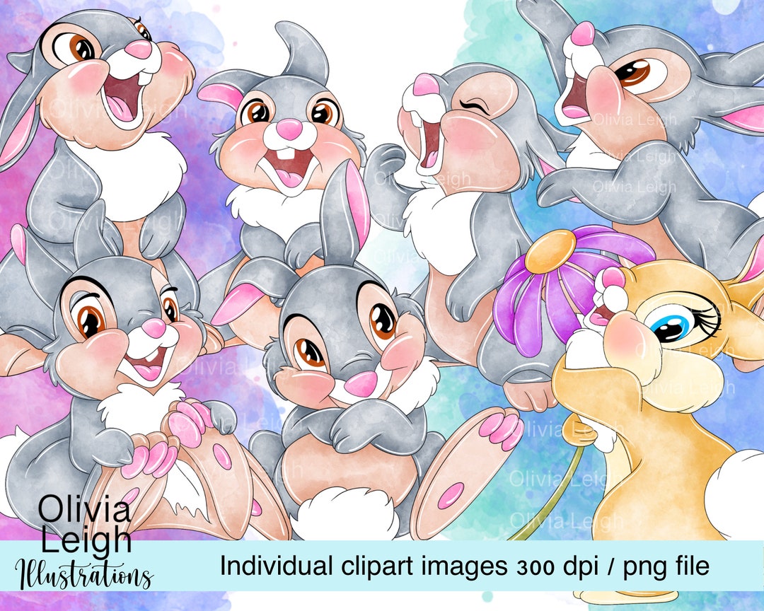 Thumper Bunny Rabbit Cute Clipart Set PNG Clipart Files DIGITAL ...