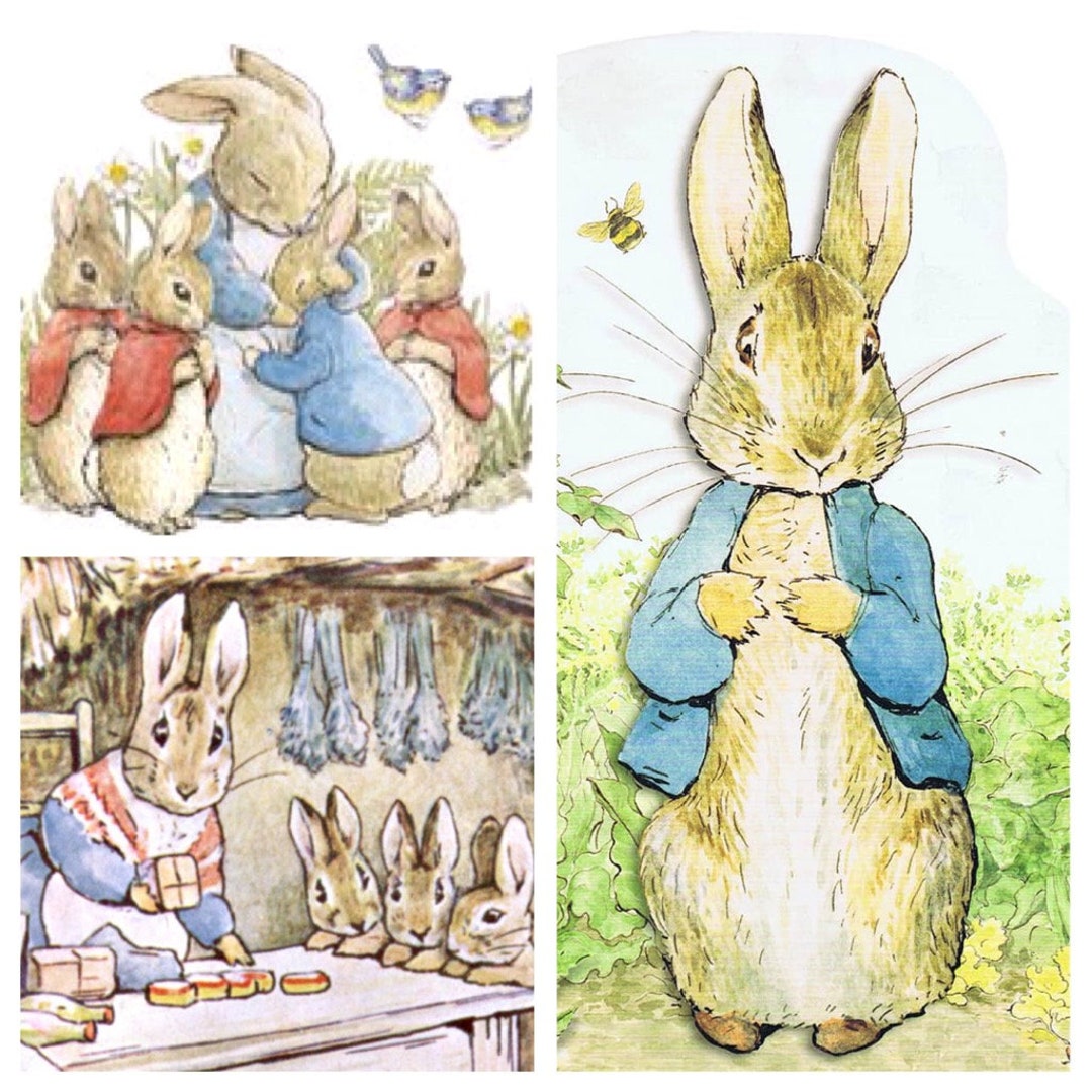 Pierre Lapin Beatrix Potter Dessin Tissu Beatrix Potter avec Pierre Lapin - Etsy Canada