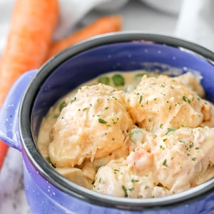 May include: A close-up shot of a bowl of chicken and dumplings. The dish is in a blue speckled bowl with handles. The dumplings are creamy and topped with parsley. Carrots are in the background.