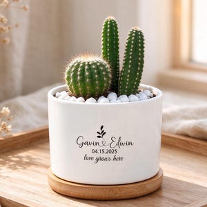 Op de afbeelding: Een cilindervormige witte keramische plantenbak met drie groene cactussen en witte decoratieve steentjes. De pot bevat de zwarte tekst Gavin & Edwin, 04.15.2025, en love grows here. Het staat op een ronde bamboe schotel.