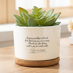 Maceta personalizada de amistad entre compañeros de trabajo, maceta para suculentas "Los compañeros se convirtieron en amigos", regalo para mejores amigos del trabajo para despedidas o agradecimientos.