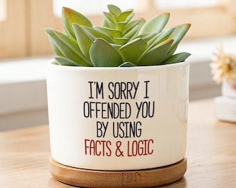 Funny Ceramic Planter, Sarcastic Succulent Pot, Facts And Logic Plant Pot, Office Desk Planter, Gift For Coworker