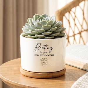 May include: A white ceramic cylindrical planter containing a green succulent plant. The planter features the black text "Rooting for your NEW BEGINNING" above a small graphic of a sprouting plant with roots. It sits on a circular wooden base.