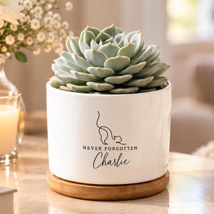 May include: A white ceramic cylindrical planter with a bamboo saucer base, containing a green succulent. The planter features a black line drawing of a cat and the text "NEVER FORGOTTEN Charlie" printed in black on the front surface.