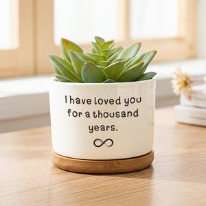 May include: A white ceramic cylindrical planter containing a green succulent plant. The planter features the black printed text "I have loved you for a thousand years." and an infinity symbol. It rests on a circular light brown bamboo saucer.