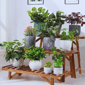 May include: A three-tiered wooden plant stand with several potted plants. The plants have green leaves and colourful flowers, in pots of different colours and textures. The stand is made of natural wood.