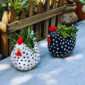 Puede incluir: Dos macetas de cerámica con forma de gallina, una blanca con lunares negros y otra negra con lunares blancos. Ambas tienen crestas y picos rojos y están llenas de suculentas verdes. Una valla de madera está en el fondo.