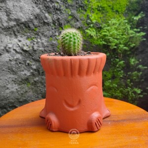 May include: A small, green cactus in a terracotta-colored pot. The pot has a smiling face design and a unique shape. The pot is sitting on a wooden surface. The background is a blurred view of a rock and some green plants.