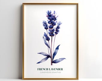 French lavender print, botanical wall art