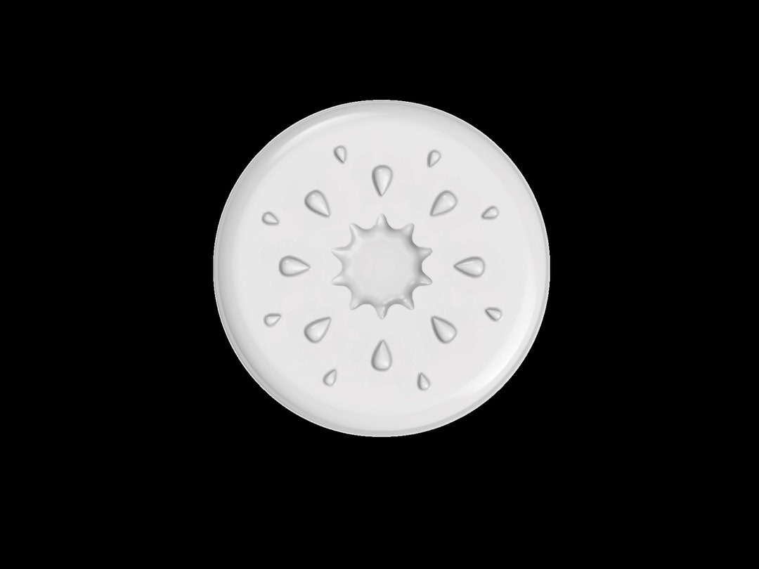 Kiwi Mold Plastic Mold Soap Mold Resin Mold Craft Mold Etsy