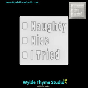 May include: White plastic mold for making soap or resin. The mold has three checkboxes with the words "Naughty", "Nice", and "I Tried" written below them.