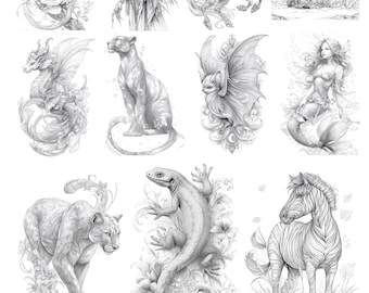 Pacote de Amostras com 11 Páginas para Colorir de Fantasia em Tons de Cinza - 2